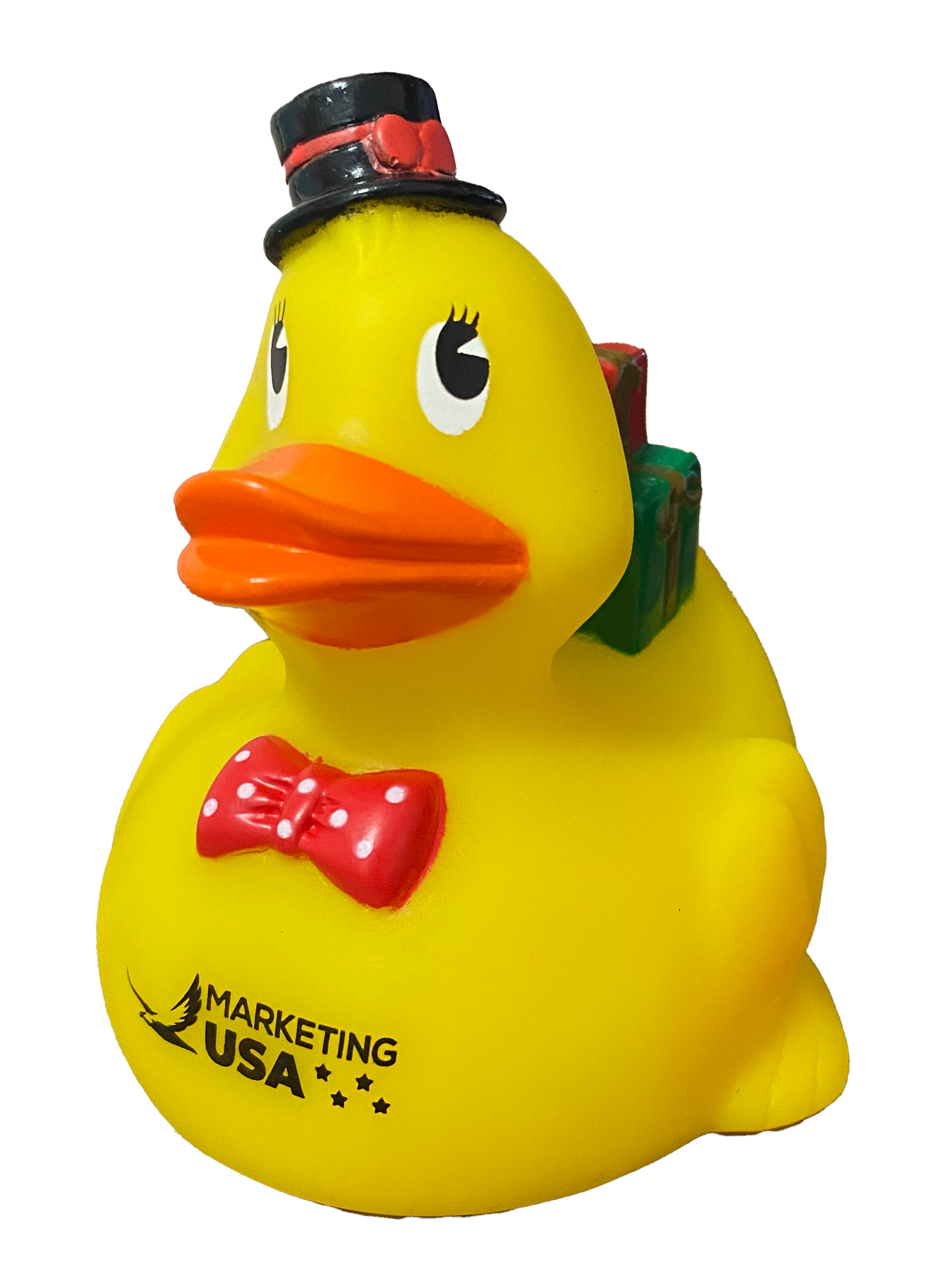 Marketing Georgia Ducks